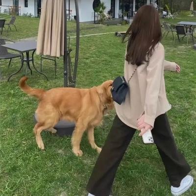 超时空监狱